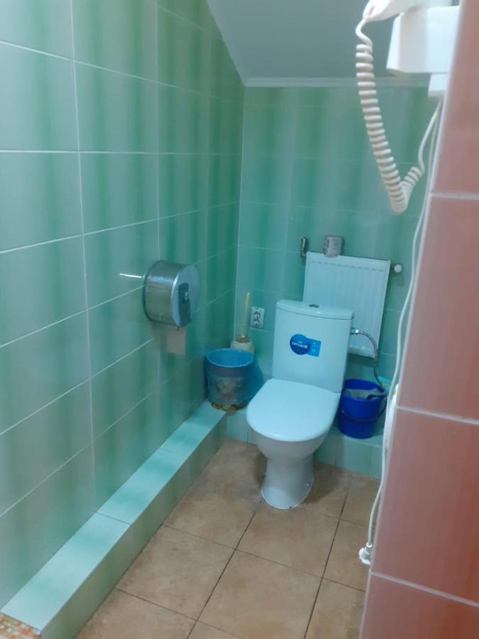 Hostel Stozhary テルノーピリ エクステリア 写真